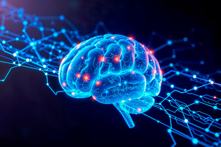 نقشه مغزی یا QEEG و کاربردهای آن