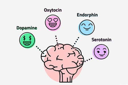 هورمون های شادی در بدن