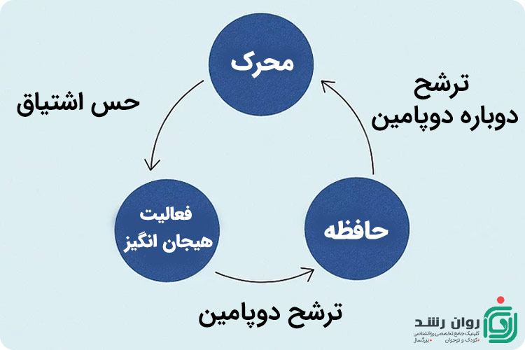 ترشح دوپامین سالم