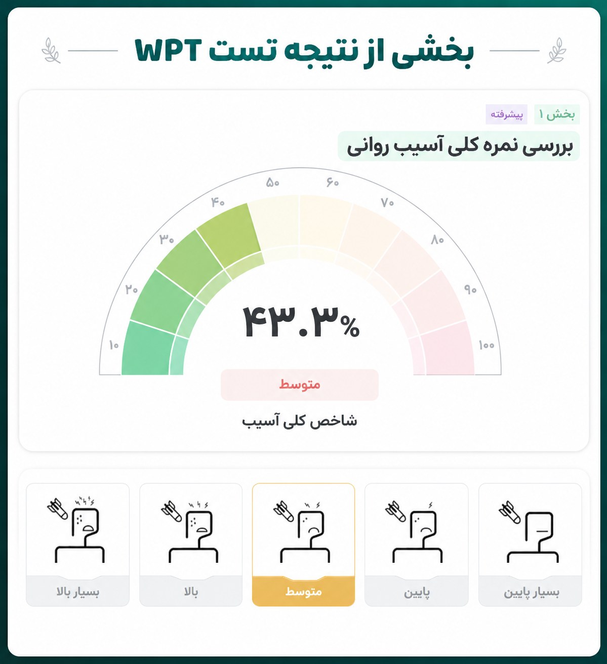 نتیجه تست wpt